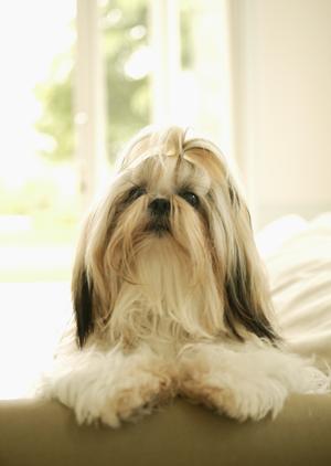 おやつで楽しみながら健康ケアできる