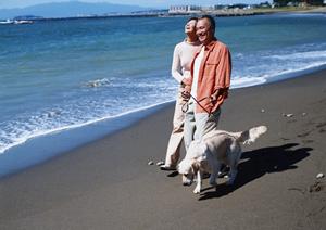 平塚で動物病院を見つけるポイント