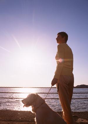 犬の木製玩具はニーナオットソンをどうぞ