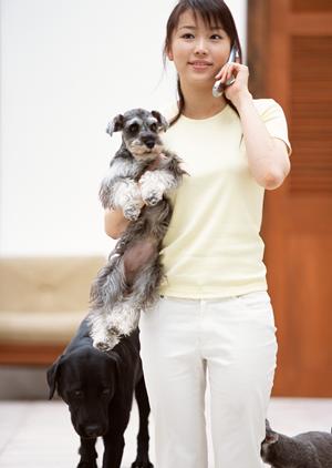 愛犬の健康を守る！最適な療法食の選び方とおすすめガイド