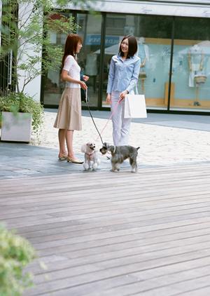 シロアリ駆除の専門業者アサンテ｜即日対応、土日祝日も受付、信頼と実績の60万軒以上の施工実績