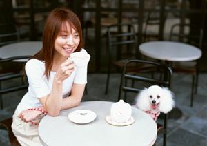 チワワ用国産ドッグフードも品質上昇