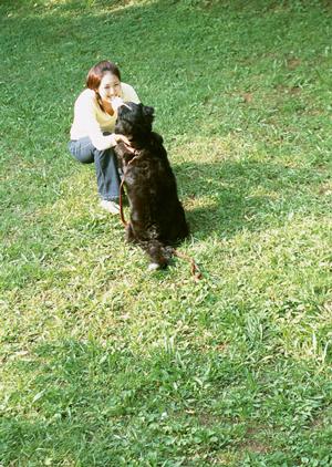 夜間に対応してもらえる東京の動物病院