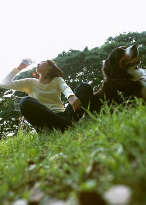 トイプードル販売で素敵な出会いを実現